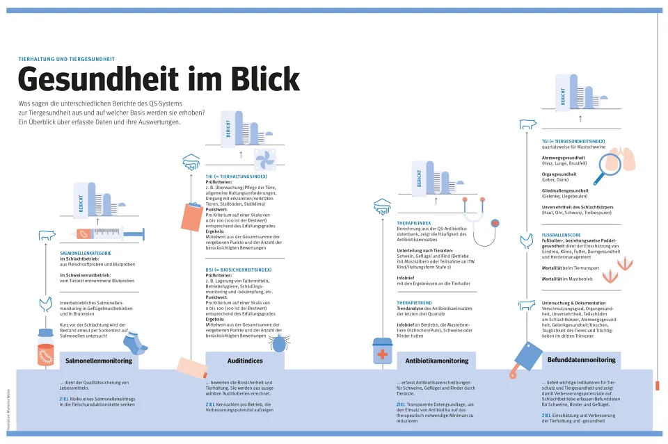 QS Tiergesundheit Infografik Berichte