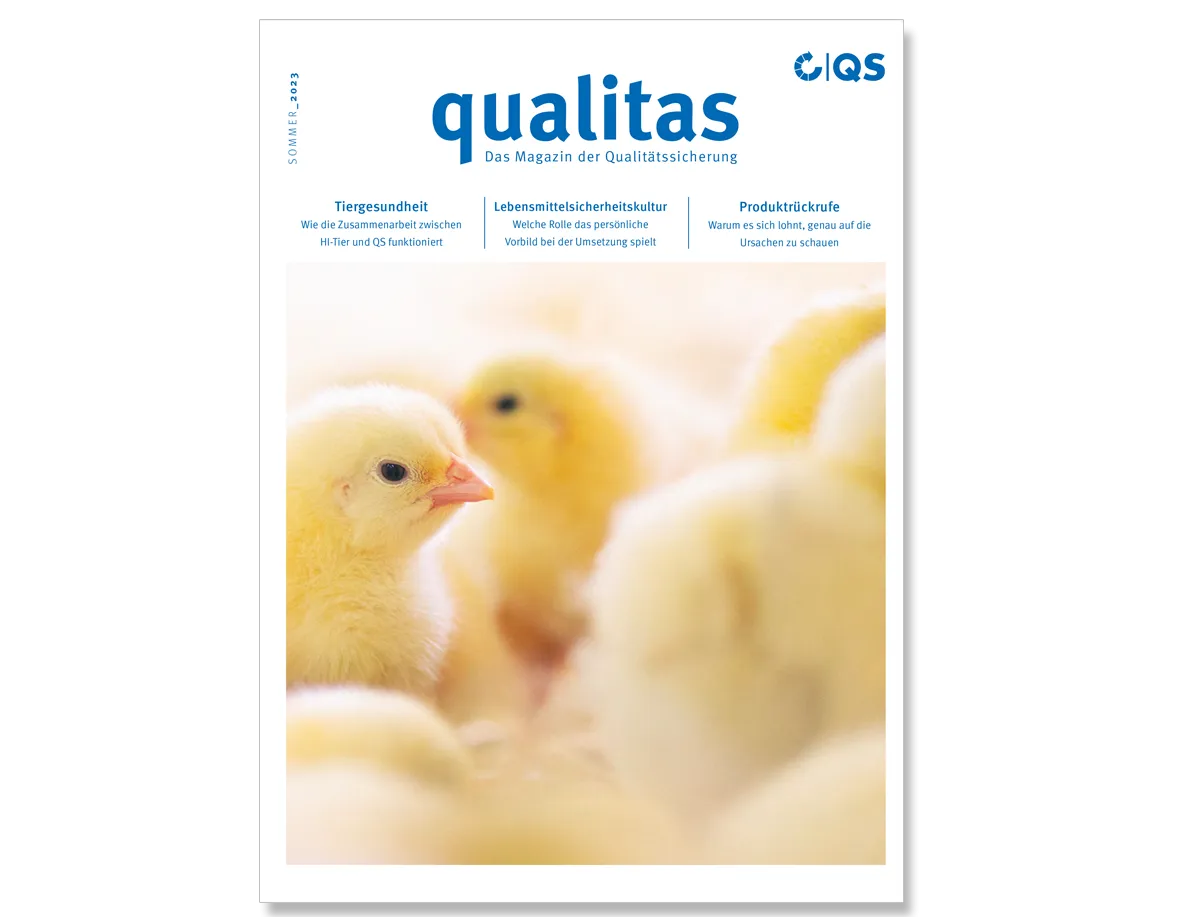 Teaser Qualitas Sommer 2023