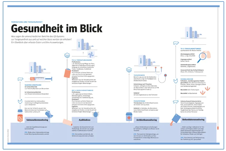 Teaser Tiergesundheit