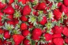 24 06 10 Notfallzulassung SpinTor Erdbeeren 24 06 10 Notfallzulassung SpinTor Erdbeeren