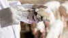 25 09 10 Antibiotikaverbrauch Nutztierhaltung 2024 QS BfR Teaser