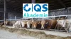 26 02 18 QS Akademie Umgang Kranke Verletzte Rinder NEW