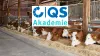 26 09 15 QS Akademie Silomanagement In Der Praxis 26 09 15 QS Akademie Silomanagement In Der Praxis