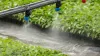 26 10 19 Status Klimaplattform OGK