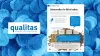 26 10 21 Salmonellen Im Blick Behalten Qualitas