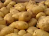 16 07 12 Pflanzkartoffeln BVL Ergänzt Zulassungsbestimmung 16 07 12 Pflanzkartoffeln BVL Ergänzt Zulassungsbestimmung