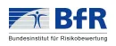 Bfr Logo