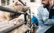 24 07 24 Projekt Tiergesundheitsberatung – Fordern Und Fördern Teaser