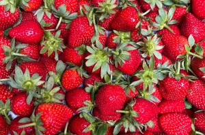 24 06 10 Notfallzulassung SpinTor Erdbeeren