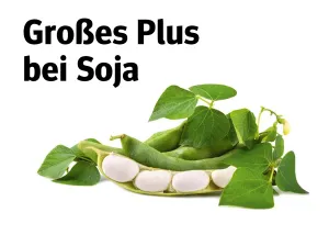 24 10 15 Grosses Plus Bei Soja  QS Magazin Qualitas Herbst 2024