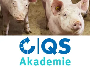 24 09 19 Kostenfreies Online Seminar Für Schweinehalter Zu Den Ab 2025 Geltenden Kri Terien Der Initiative Tierwohl