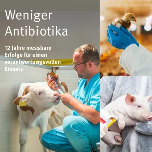 24 12 18 QS Kurz Kompakt Antibiotikamonitoring