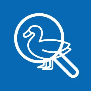 26 01 08 Antibiotikamonitoring Enten RGB