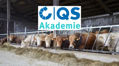 26 02 18 QS Akademie Umgang Kranke Verletzte Rinder NEW