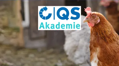 26 02 23 Online Seminar Für Gefluegelhalter Zu Den Programme Frischluftstall Und Auslauf