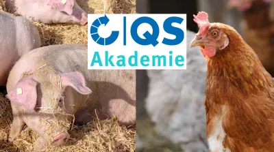 26 04 03 Kostenfreie Online Seminare Für Schweine Und Geflügelmäster ITW