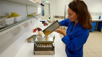 26 04 10 Ergebnisse Laborkompetenztest FUMI