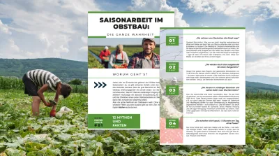 26 04 14 Mythen Saisonarbeit Erntehelfer