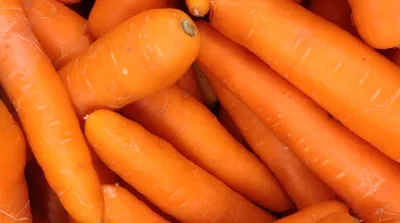 26 04 30 Notfallzulassung Pirimor G Moehre