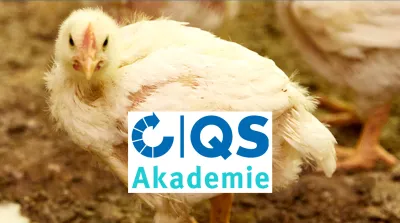 26 05 22 Umgang Mit Erkrankten Und Verletzten Tieren (Geflügel)