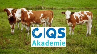 26 07 15 QS Akademie ITW Haltungsform Seminar