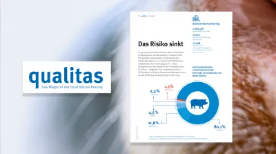 26 08 10 Qualitas Salmonellenmonitoring Risiko Sinkt