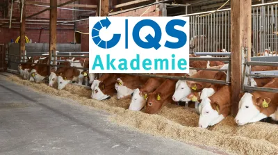 26 09 15 QS Akademie Silomanagement In Der Praxis