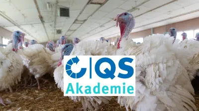 26 10 16 Akademie Tierschutzgerechte Betaeubung Gefluegel