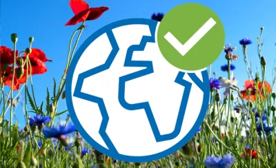 24 02 29 FIn Nachhaligkeitschecks  Teaser V2