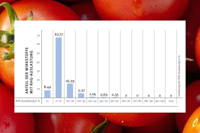Zum Vergrößern auf die Grafik klicken