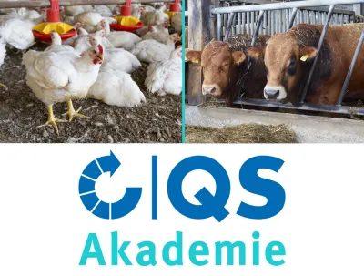 25 09 16 Neue Online Seminare Für Tierschutzbeauftragte In Schlachtbetrieben Für Rind, Schwein Und Geflügel