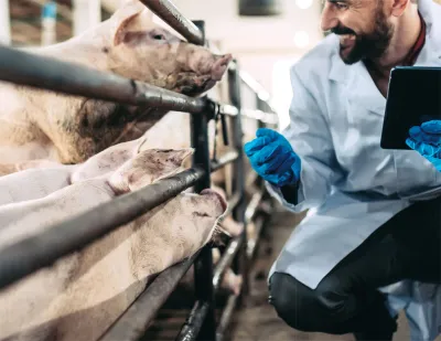 24 07 24 Projekt Tiergesundheitsberatung – Fordern Und Fördern