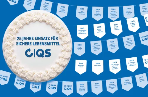 Teaser 25 Jahre QS Meilensteine