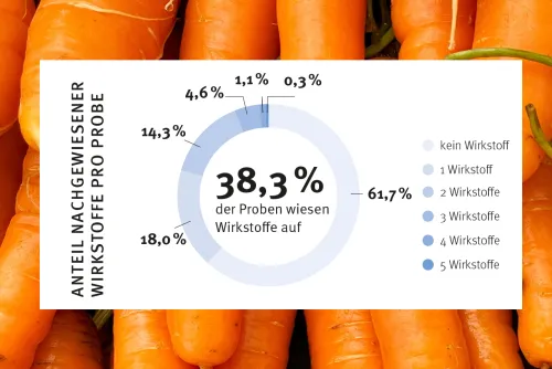 Zum Vergrößern auf die Grafik klicken