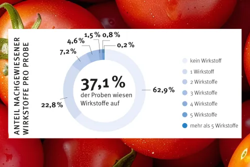 Zum Vergrößern auf die Grafik klicken