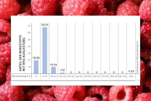 Zum Vergrößern auf die Grafik klicken