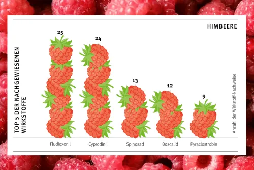 Zum Vergrößern auf die Grafik klicken