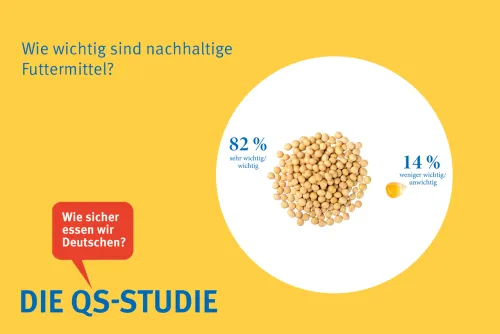 An 100 Prozent fehlende Angaben = „weiß nicht“/keine Angabe  (Zum Vergrößern auf die Grafik klicken)
