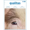 Qualitas Gewinnspiel Sommer 2024